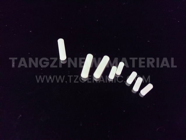 Steatite pin/ talc pin
