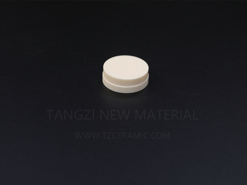 Alumina insulator