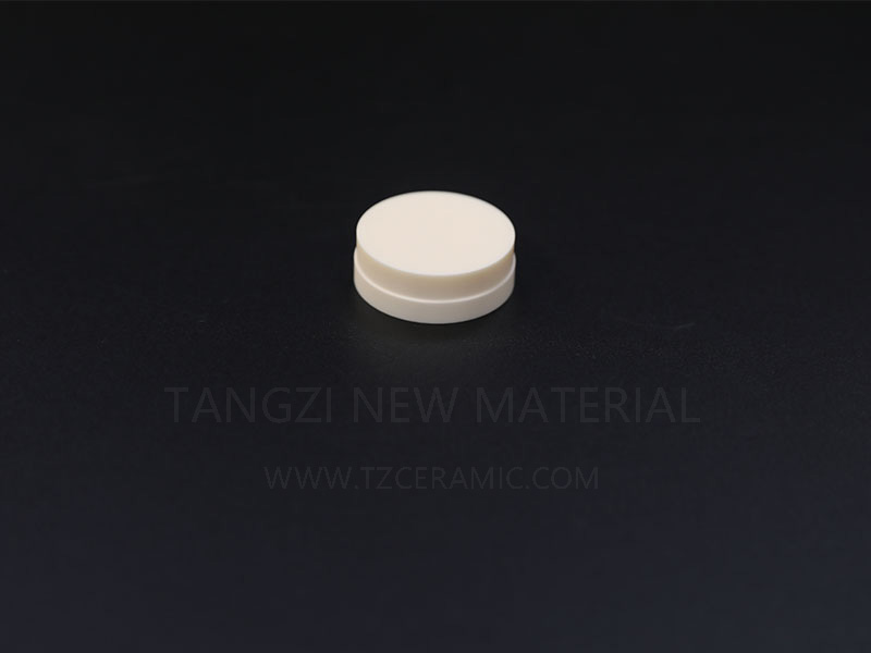 Alumina insulator