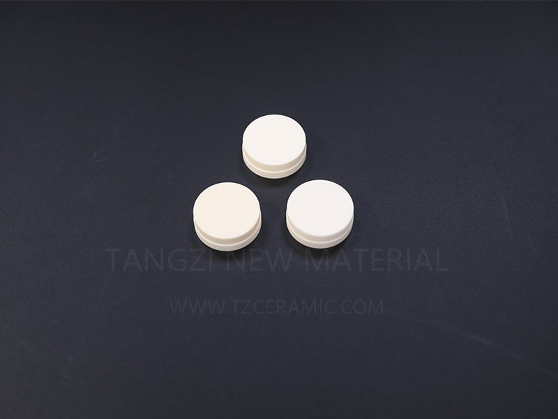 Alumina insulator