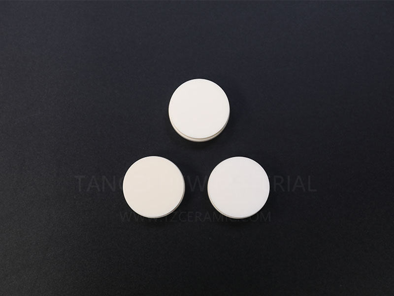 Alumina insulator