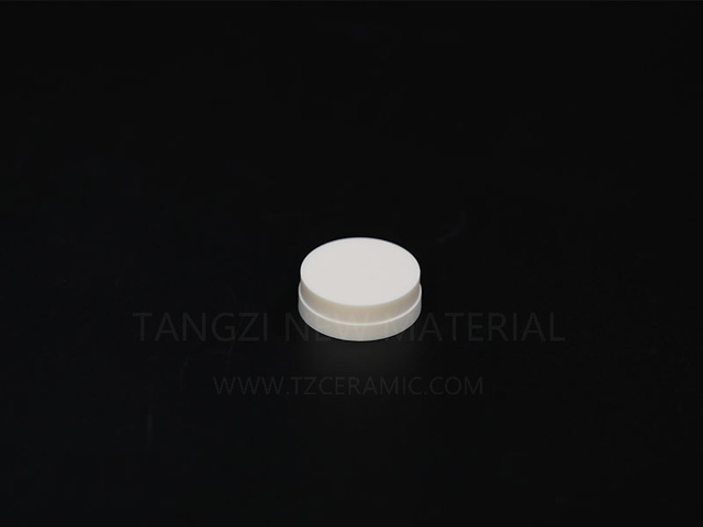 Alumina insulator
