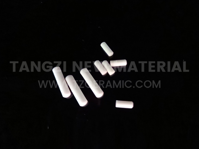 Steatite pin/ talc pin
