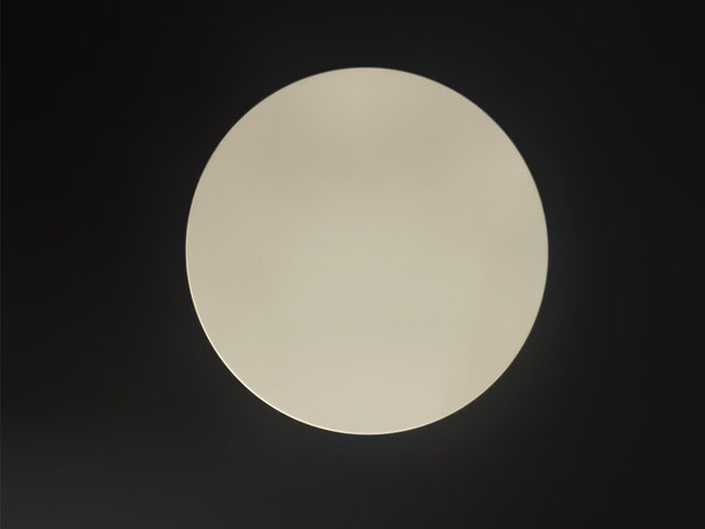 Aluminum nitride disk