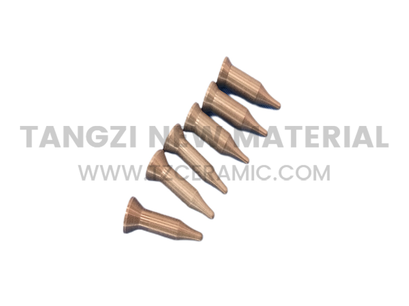Silicon nitride ceramic pin