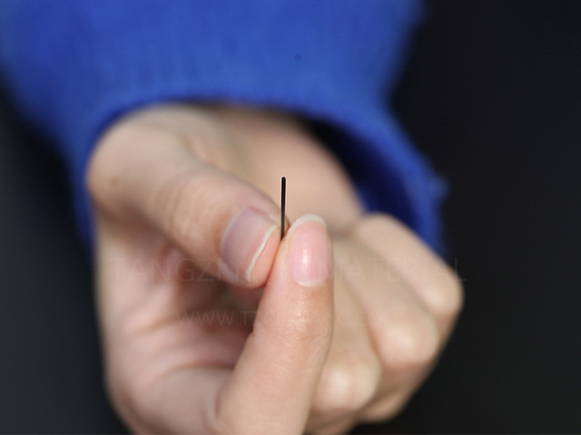Zirconia circular Angle ceramic needle/pin