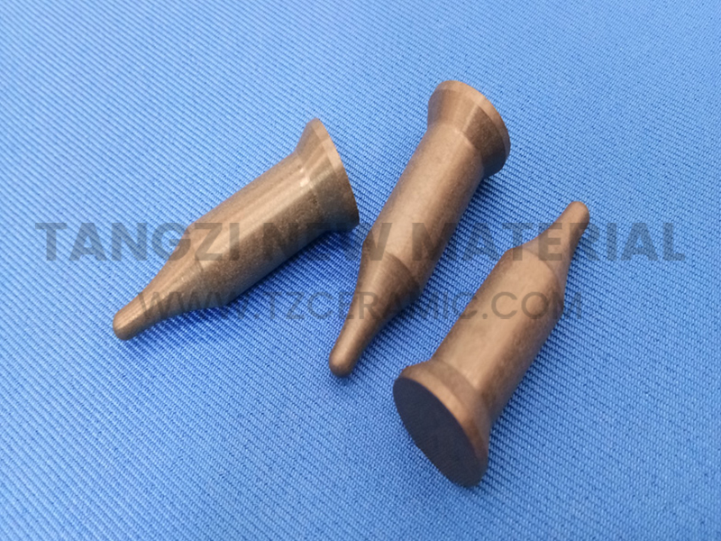 Silicon nitride ceramic pin