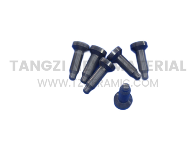 Silicon carbide ceramic pin
