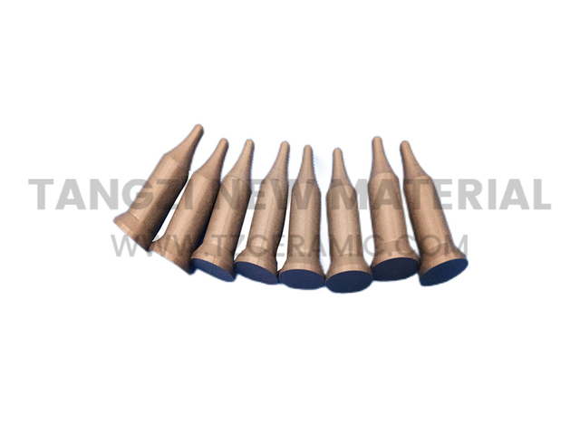 Silicon nitride ceramic pin