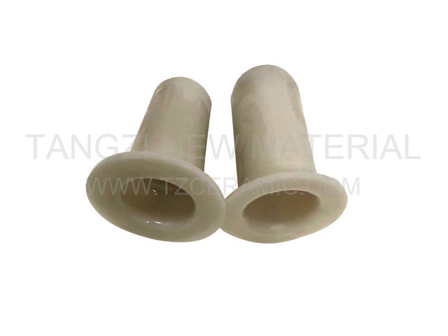 Aluminum nitride（AIN）pin