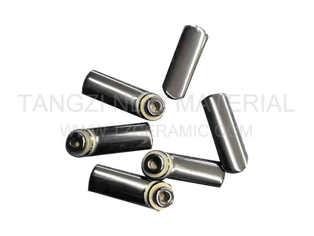 Zirconia earplugs