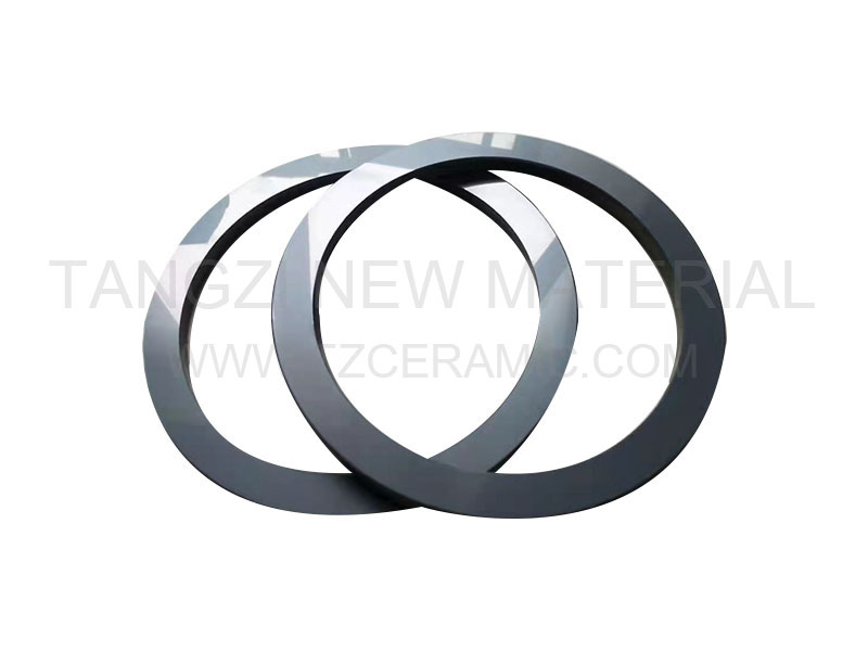 Silicon carbide flange/sealing ring