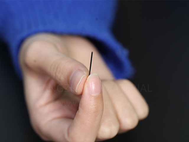 Zirconia circular Angle ceramic needle/pin
