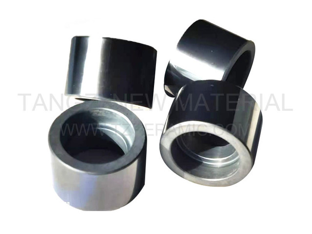Silicon carbide flange/sealing ring